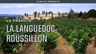 La sorpresa Languedoc Roussillon | Tannico Flying School