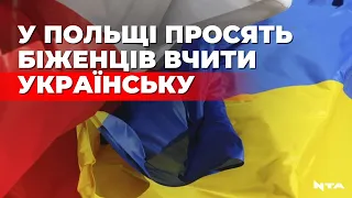 У Польщі обурені російськомовними біженцями і пропонують вчити їх української мови