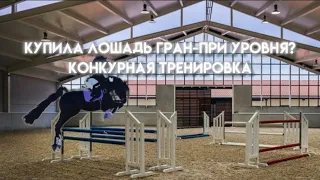 Покупка конкурной лошади гран-при уровня?😱Конкурная тренировка / vlog maple springs eventing Roblox