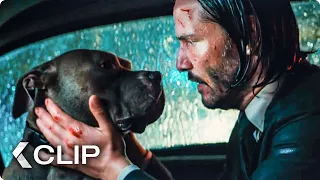 Good Dog Movie Clip - John Wick 3: Parabellum (2019)