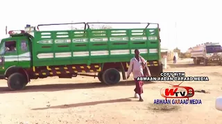 GURI BARWAAQO IYO CIYAALKII MAGALADA MAXAA KALA HAYSTA SHEEKO LAYAAB AH KULAHAA TAN MAXAA NA KEENAY