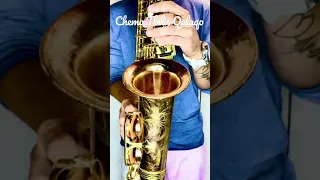 Sakhe - Chemo Tbilis Qalaqo (SAX cover by OppositeMus)