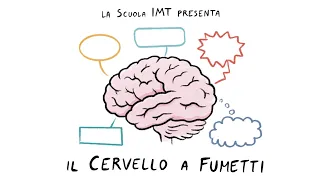 Il cervello a fumetti | 1. Identikit del cervello