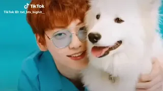 TXT "cat & dog" Tiktok music video (TOMORROW X TOGETHER)