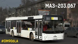 МАЗ-203.067 (OM906LA & ZF 6HP502C)