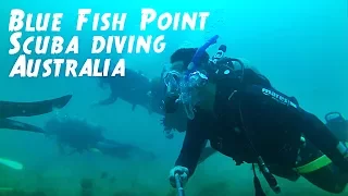 GoPro: ScubaDiving at Blue Fish Point Australia