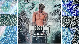 Sorry - Justin Bieber (Live Instrumental)