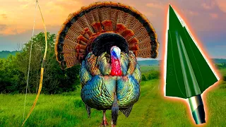 Longbow Hunting for Turkeys | 2024 | Woodlots to Mountaintops