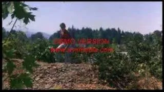 Stand By Me Movie Introduction