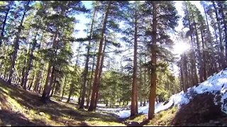 Bigfoot Hunting High Wilderness VR 360