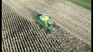 Final lap before the harvest - 2023