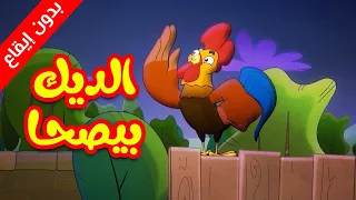 الديك بيصحى (بدون إيقاع) - طيور بيبي Toyor Baby