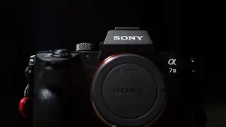 I'm Switching from Canon to Sony | Here's Why