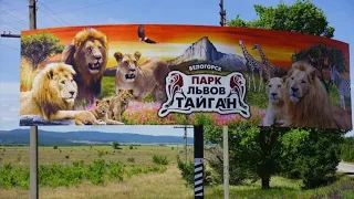 Знаменитый парк львов "Тайган"/ Вся правда о ценах/ 18+