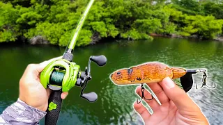 Fishing w/ a BEAVER for GIANT Bass (IT WORKED)