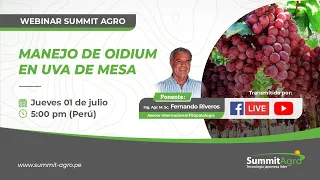 Summit Live: "Manejo de Oidium en uva de mesa"