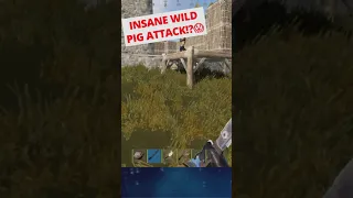 When a wild pig breaks into base
