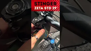 Горный велосипед Stinger Zeta STD 29'' | Доступный велосипед для покорения любых трейловых трасс
