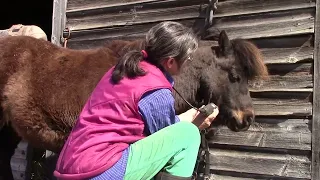 Clipping day