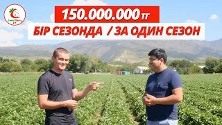 150.000.000тг бір сезонда. 150.000.000тг за один сезон