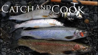 Ultimate Fishing Highlight Reel from Adventures Across the Canadian Wild with Jim Baird