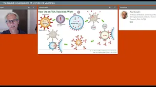 The Rapid Development of COVID 19 Vaccines