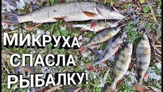 ХИТРАЯ ПРОВОДКА И ПРИМАНКА НА ЩУКУ и ОКУНЯ ОСЕНЬЮ. КАК ПОЙМАТЬ В НОЯБРЕ? РАСКРЫВАЕМ СЕКРЕТЫ.