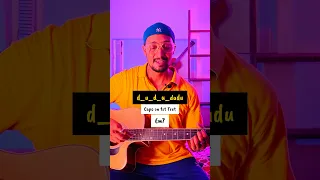 Chaleya (Jawan) Guitar Lesson