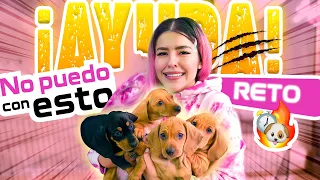 PASO 24 HORAS CUIDANDO A LOS CACHORROS  | LOS POLINESIOS RETO