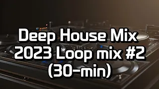 Deep house mix 2023 - 30-min loop track #2 편집샵, 라운지, 패션쇼, 가사없는 매장용 음악