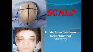 Scalp  Anatomy Head and Neck Dr Shabana Lectures