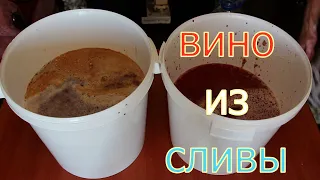 Домашнее вино из сливы - простой рецепт приготовления. Часть 2