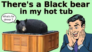 Black bear filmed relaxing in hot tub at Gatlinburg, Camilla, Georgia.