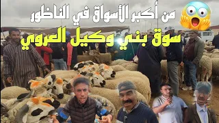 رغم إقتراب العيد البيع في الأسواق الناظور فقط بي الجملة وهذه هي أثمنة الأضاحي في سوق العروي بني وكيل