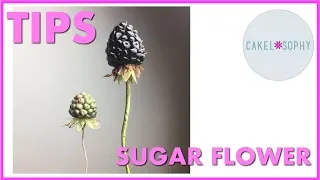 Making Sugar Flowers: TOP TIPS