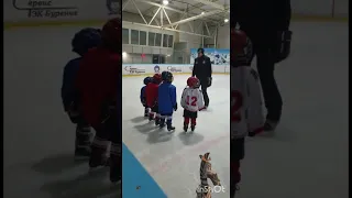 Первая тренировка бобрят 2015 #hockey #kids #хоккей #детский #shorts #nhl #khl #share #video #жиза
