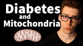 Diabetes & Mitochondria: How Nutrition Connects the Two. [Study 32]