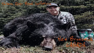 Black Bear Hunting At Salmon River Bend Outfitters