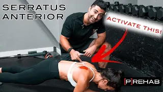 The BEST Serratus Anterior Exercises