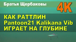 КАК РАТТЛИН Pantoon21 Kalikana Vib ИГРАЕТ НА ГЛУБИНЕ