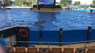 Loro Parque Tenerife