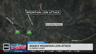 Man killed, brother injured after mountain lion attack in Sierra foothills