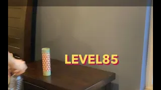 Level 1-100 bottle flipping!!!