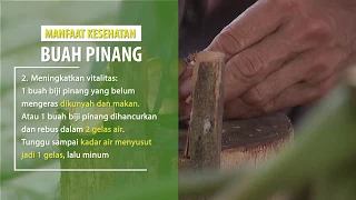 Agropedia - Manfaat Kesehatan Buah Pinang