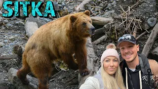Fortress of the Bears, Raptor Center, Totems in Sitka, Alaska 2023 | Royal Caribbean | Cruise Vlog |