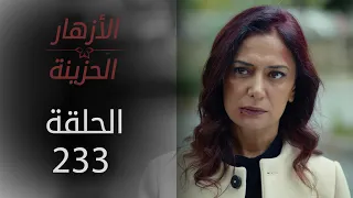 مسلسل الأزهار الحزينة | الحلقة 233 - الموسم الثاني