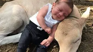 Funny Baby Sleeping Anytime-Anywhere|| Funny Baby Videos