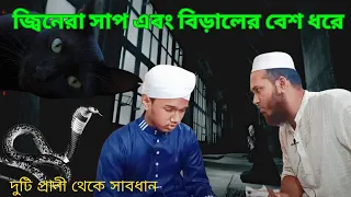 জ্বিনেরা সাপ এবং বিড়ালের বেশ ধরে বেশি || এ দুটি প্রানী থেকে সাবধান || মুফতি আবু বকর সিদ্দিক!