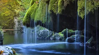 Великолепная мелодия флейты и скрипки! Послушайте! David Arkenstone - Tears of the Forest