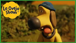 La Oveja Shaun 🐑 Perro cansado 🐑 Dibujos animados para niños